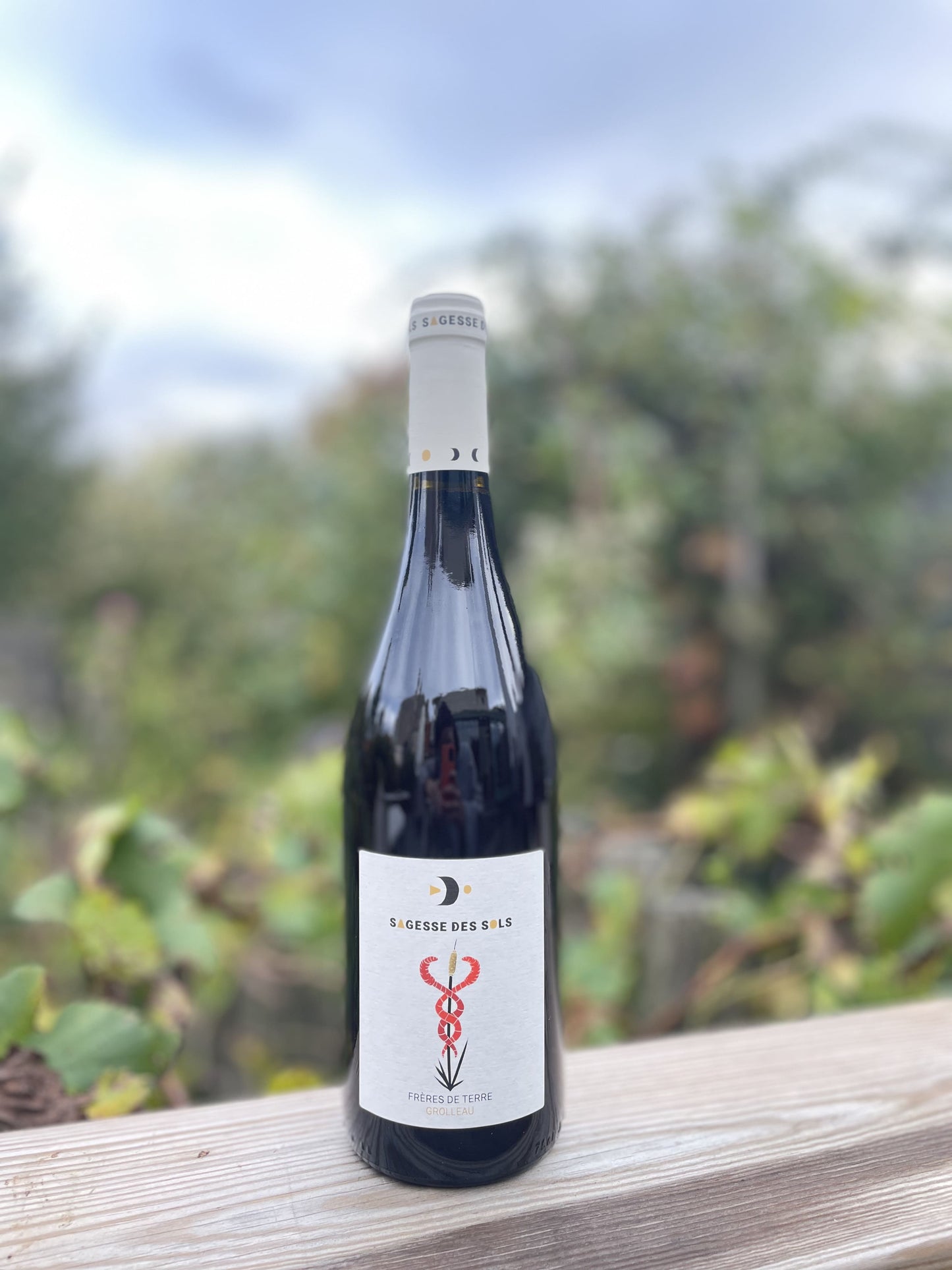 Frères de Terre Grolleau Sagesse des Sols