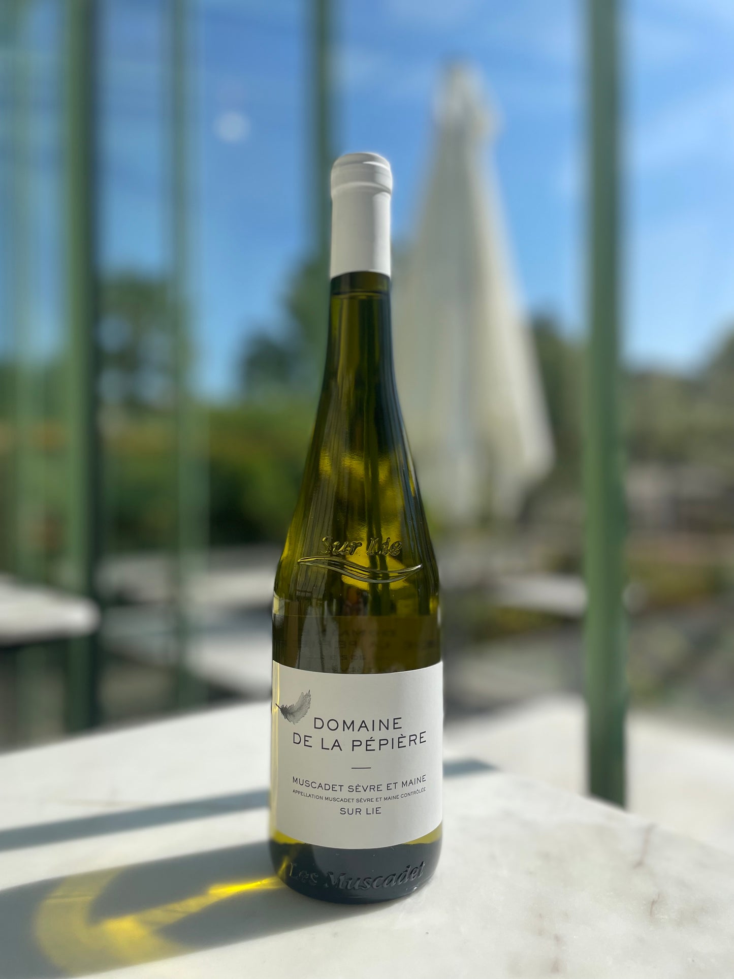 Domaine de la Pépière 2023