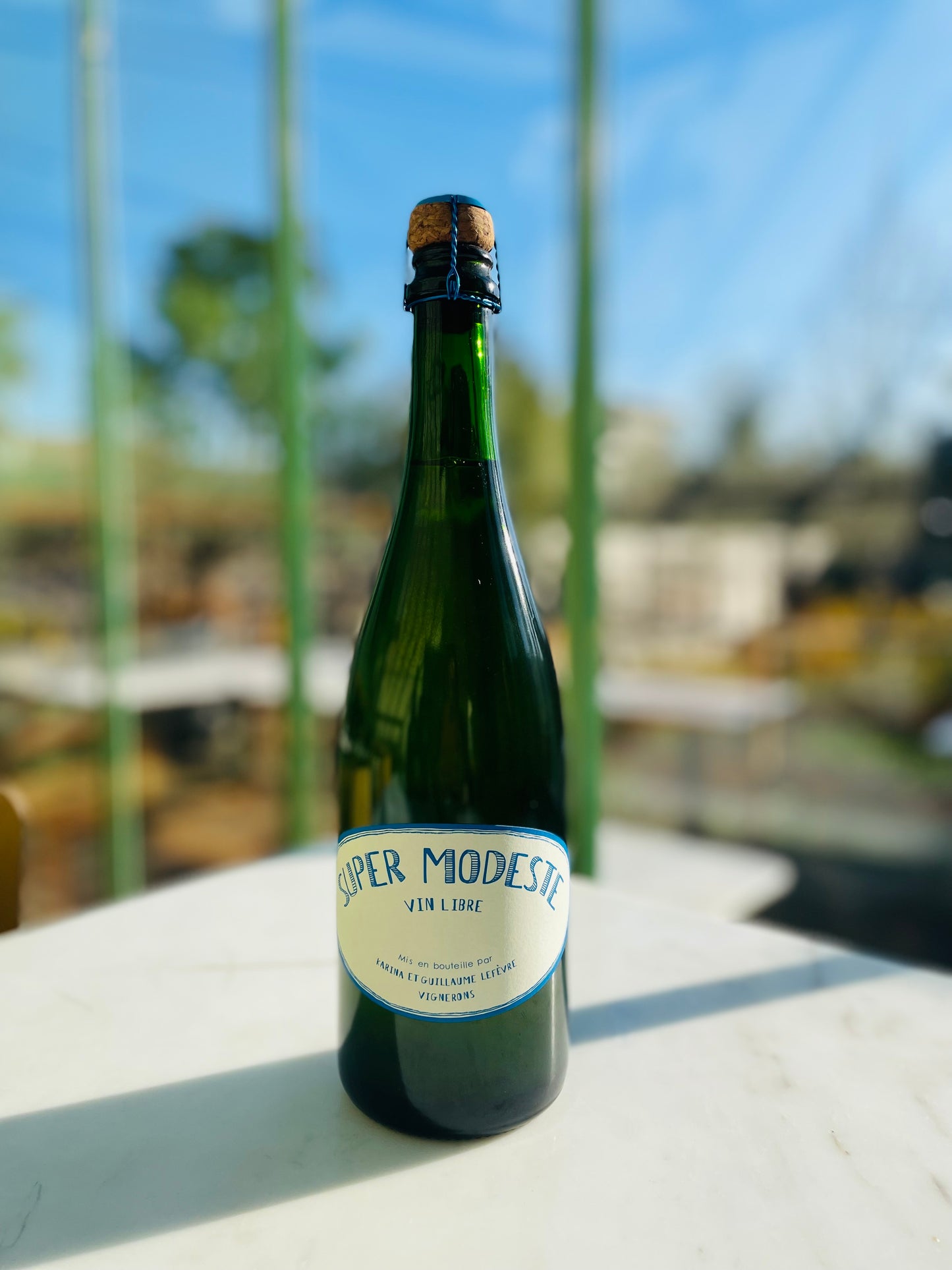 Super Modeste - Domaine de Sulauze