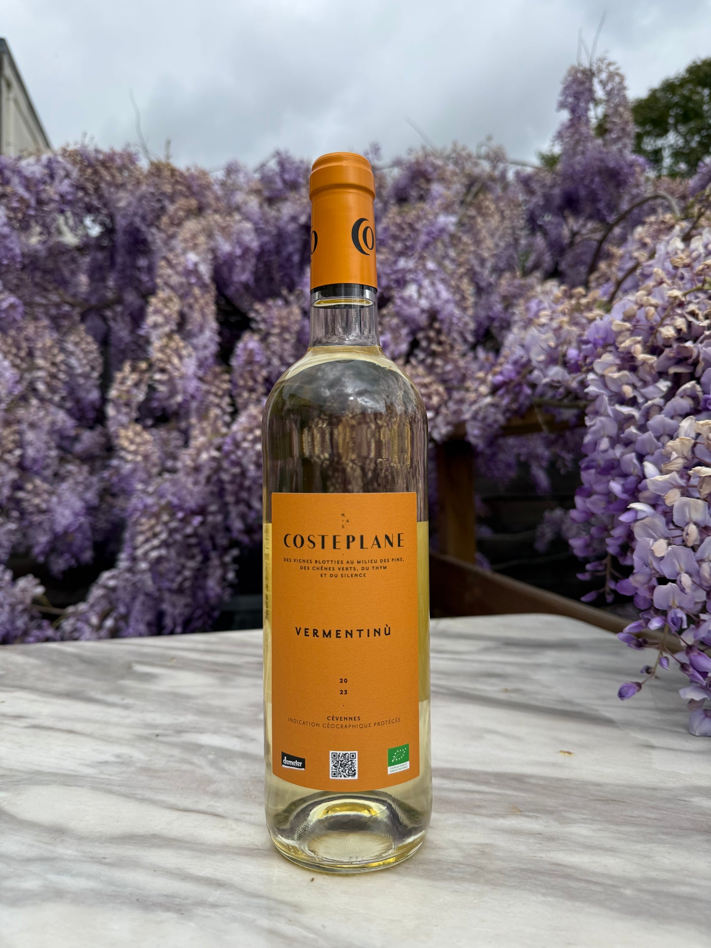 Vermentinù 2023 - Mas Costeplane