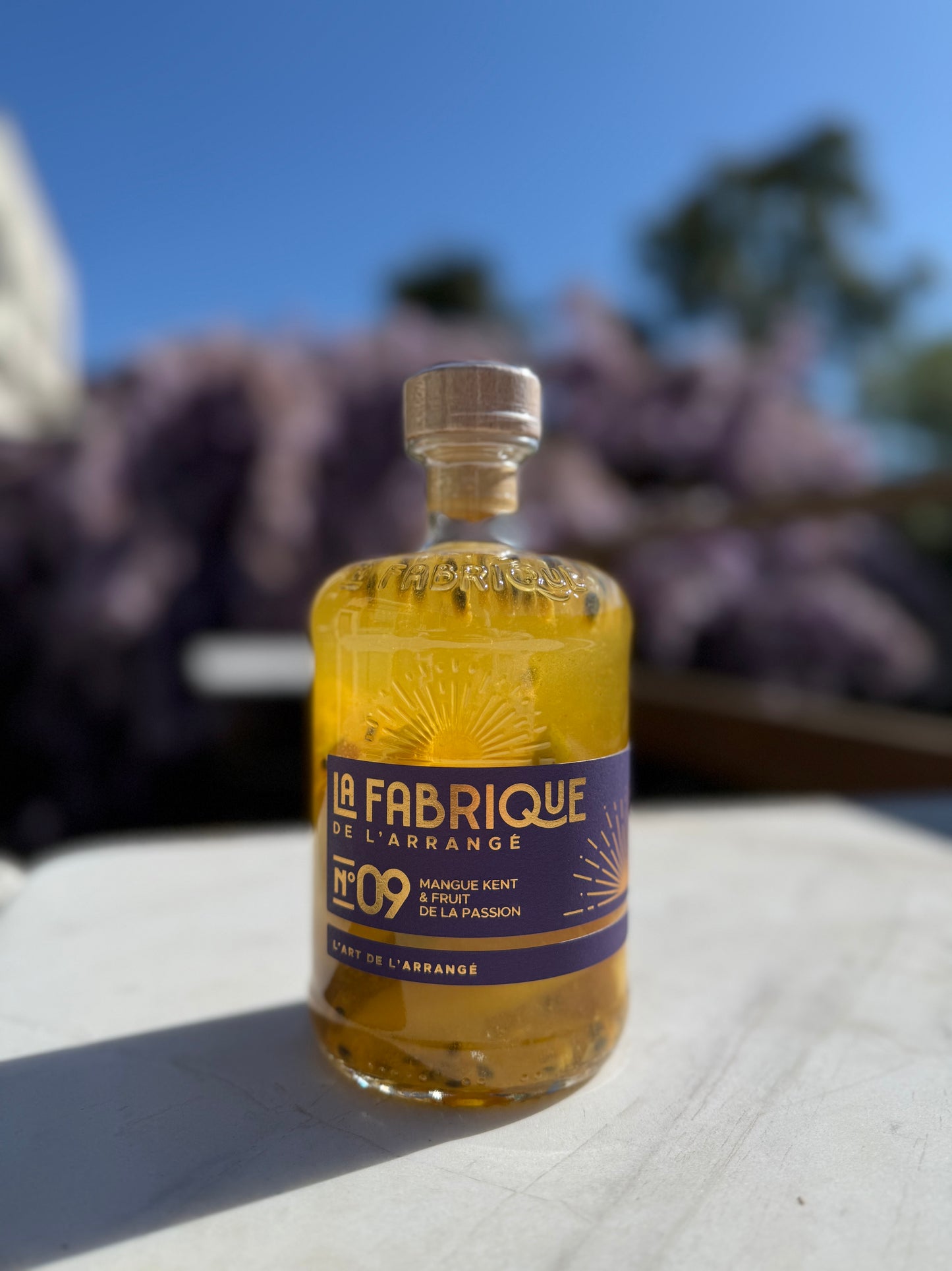 LA FABRIQUE DE L'ARRANGÉ N°9 Mangue, Passion