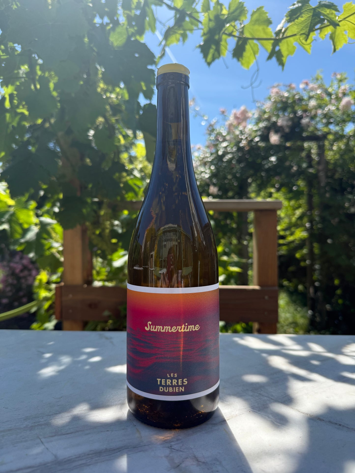 Summertime 2024 - Les Terres Dubien