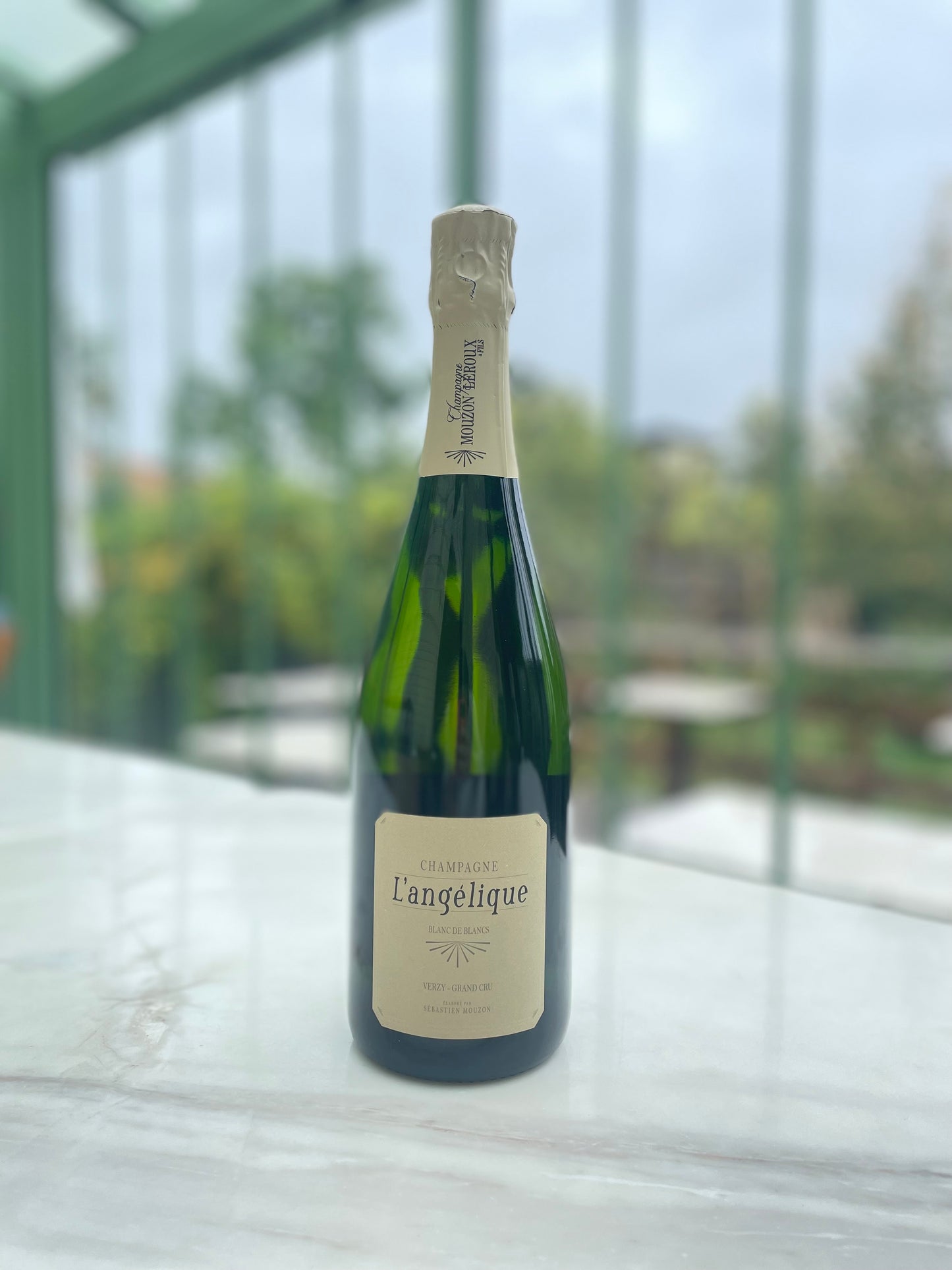 L'angélique - Champagne Mouzon Leroux