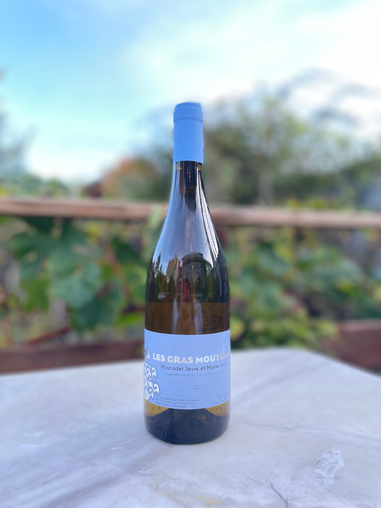 Les gras moutons 2023 domaine de la Pépière muscadet