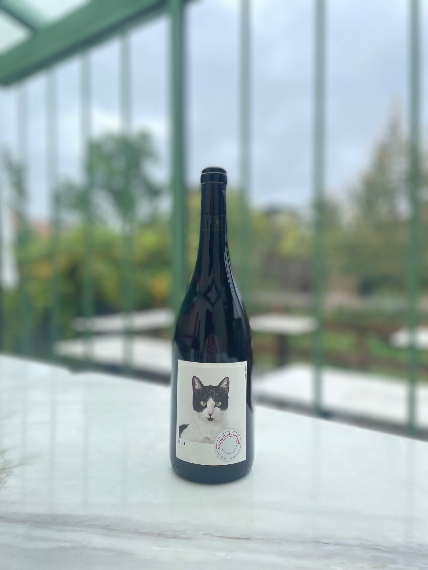 Nina 2019 - Planet Mouraz