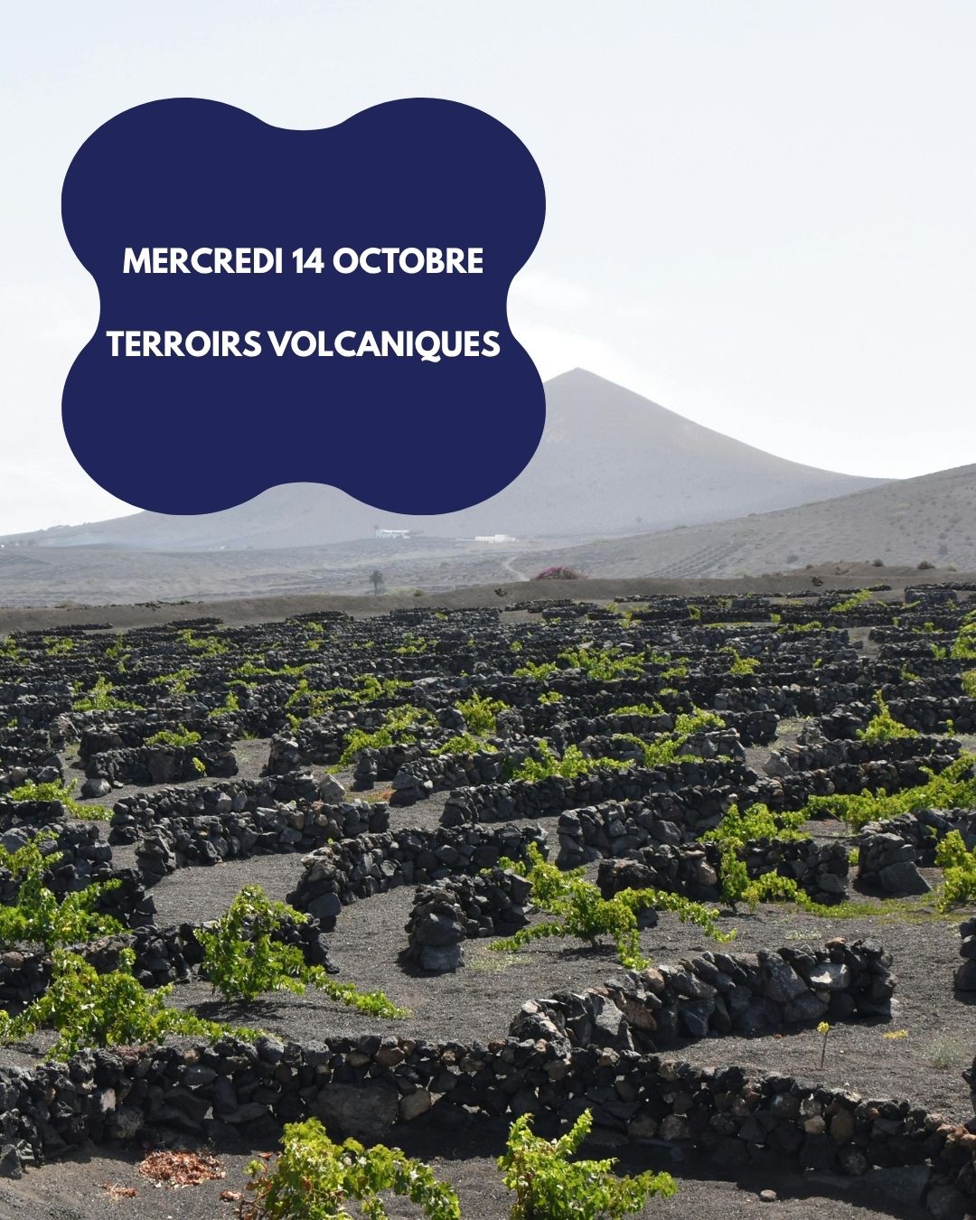 Les terroirs volcaniques