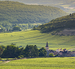 17/09 - 19h30 : Soirée dégustation Bourgogne