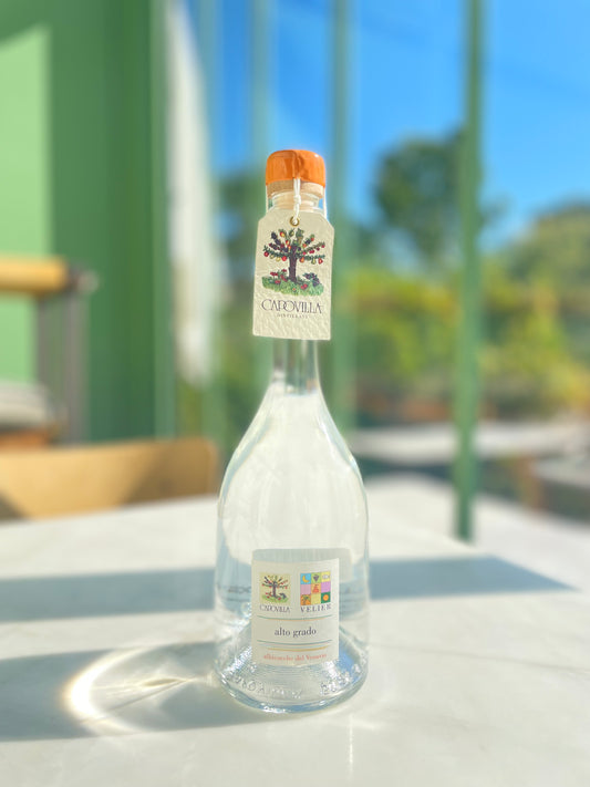 Abricot du Vésuve – Capovilla – Eau-de-vie – 49%