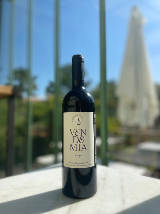 Vendemia 2022