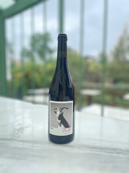 Chibu 2020 - Planet Mouraz