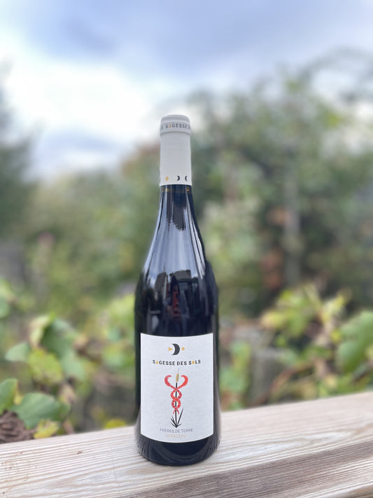 Frères de Terre Grolleau Sagesse des Sols