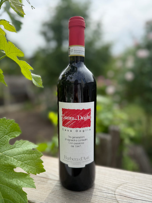 Barbera d'Asti 2022 - Gianni Doglia