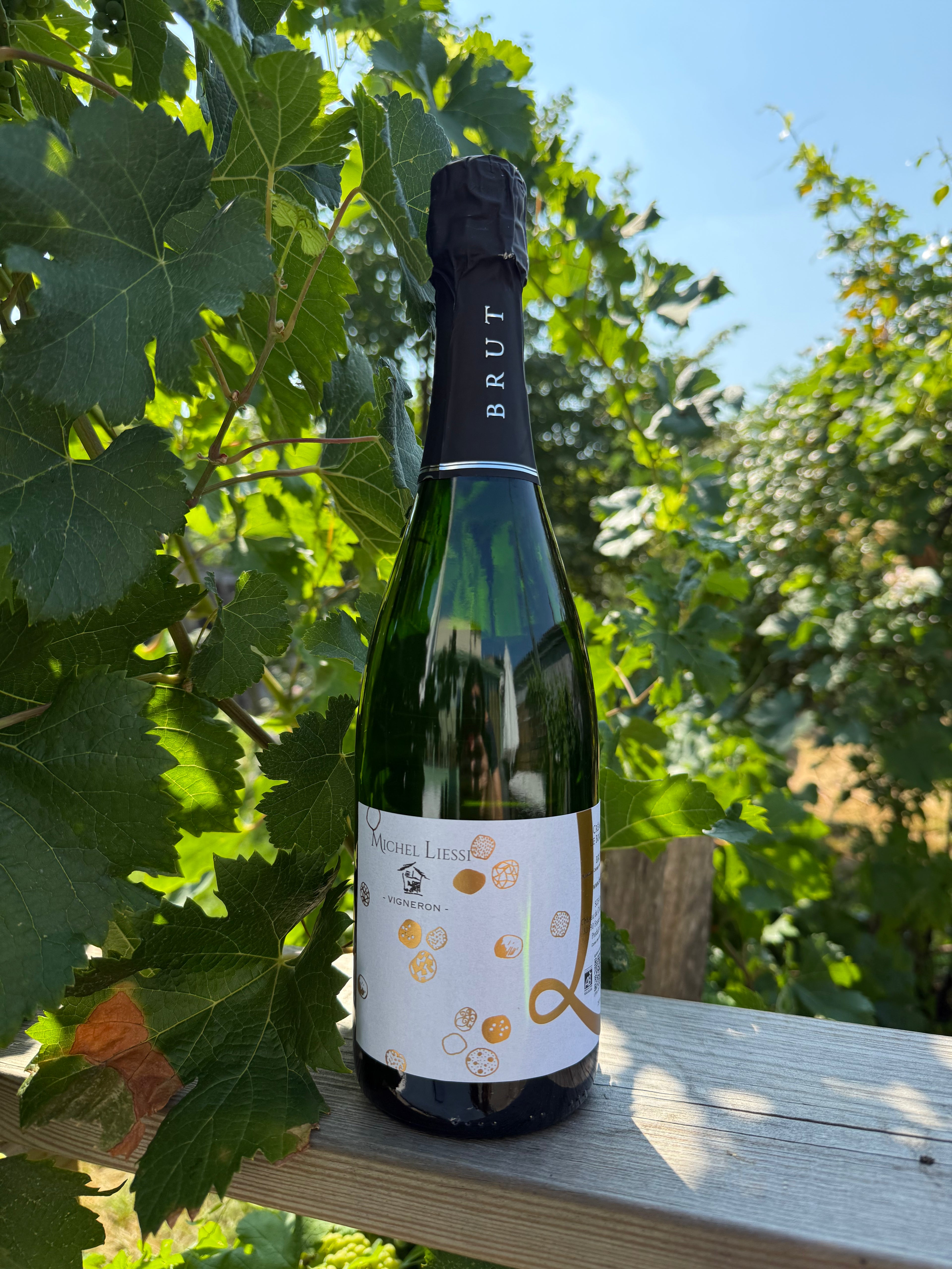 Crémant de Bordeaux - Michel Liessi