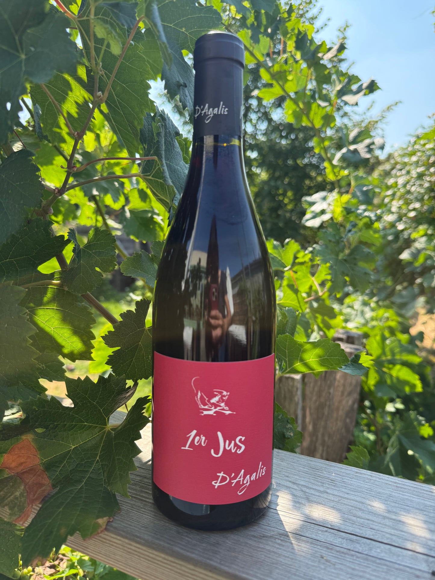 1er Jus 2025 - Mas d'Agalis