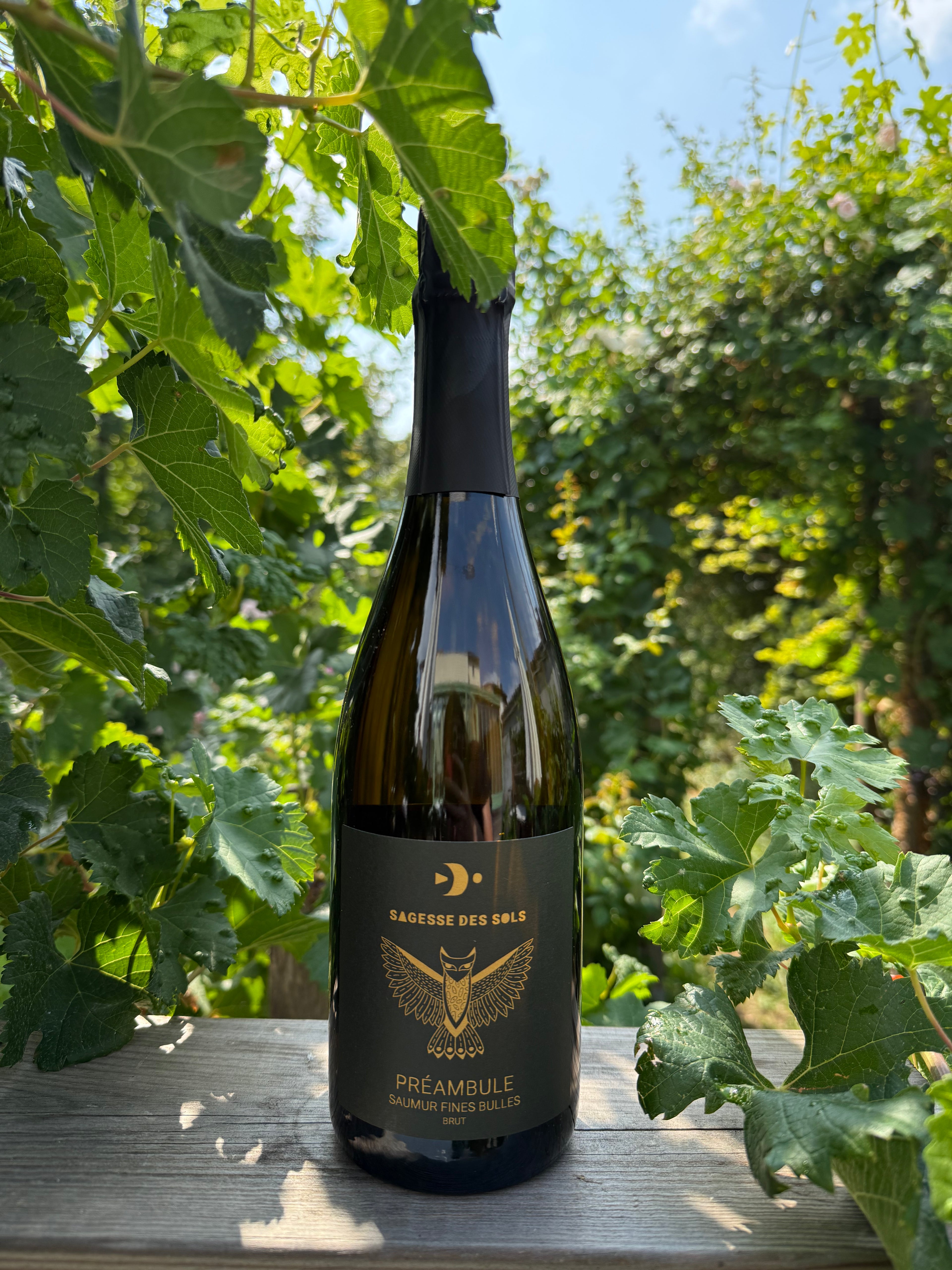 Préambule - Sagesse des Sols - Saumur Brut - Quvée