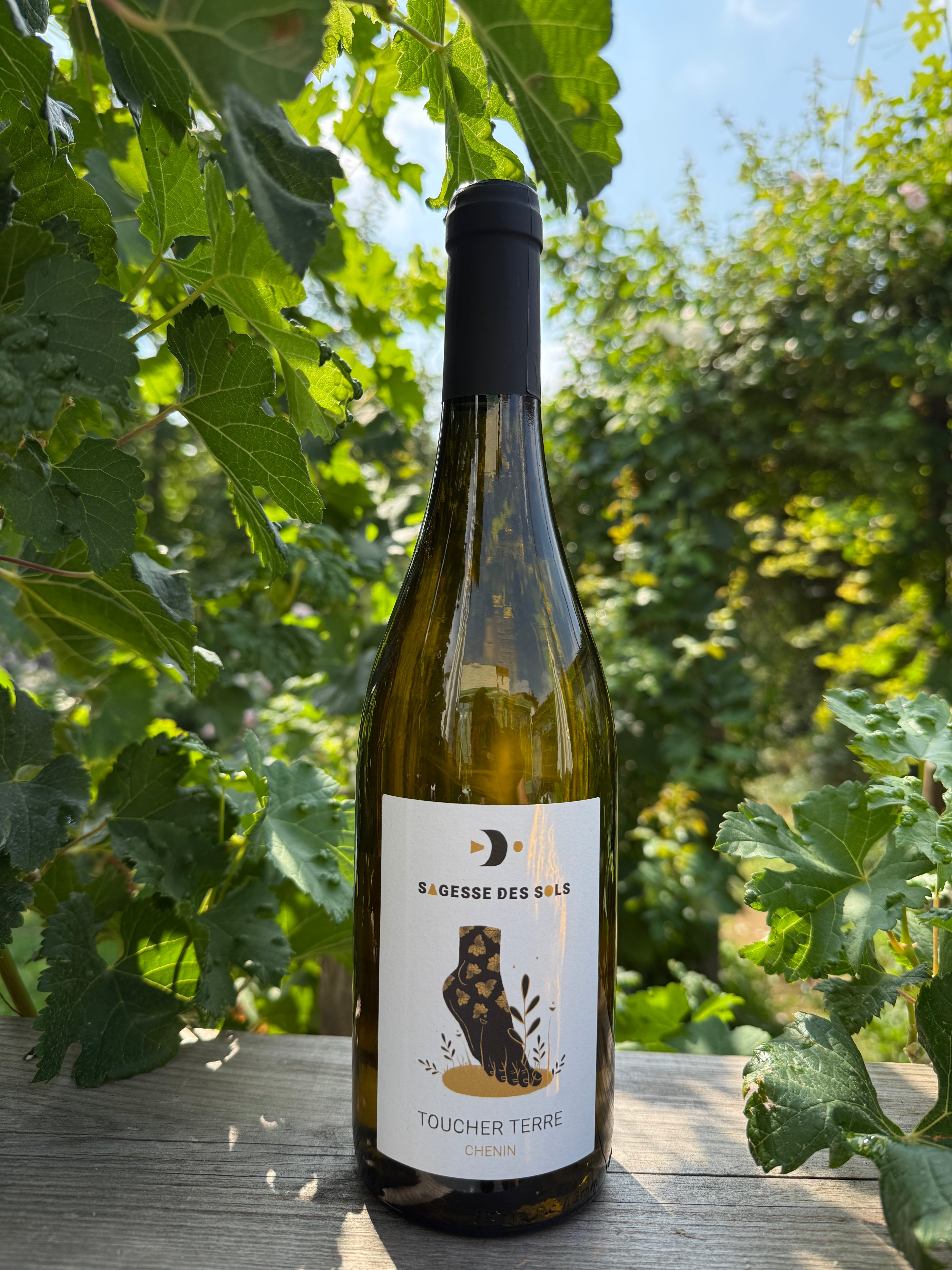 Toucher Terre 2022 - Sagesse des Sols - Anjou Blanc - Quvée