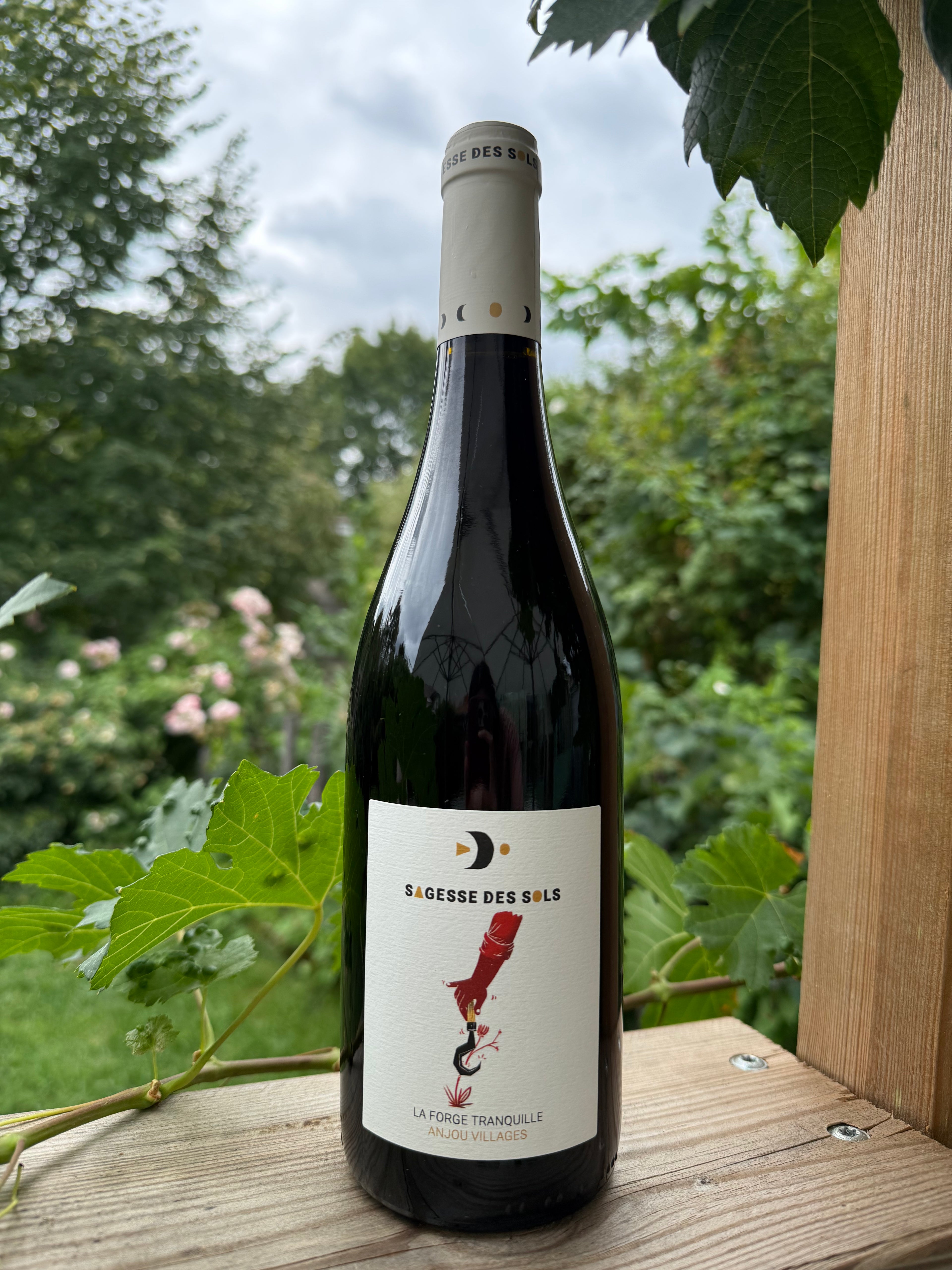 La Forge tranquille 2023 - Sagesse des sols - Anjou Villages - Quvée
