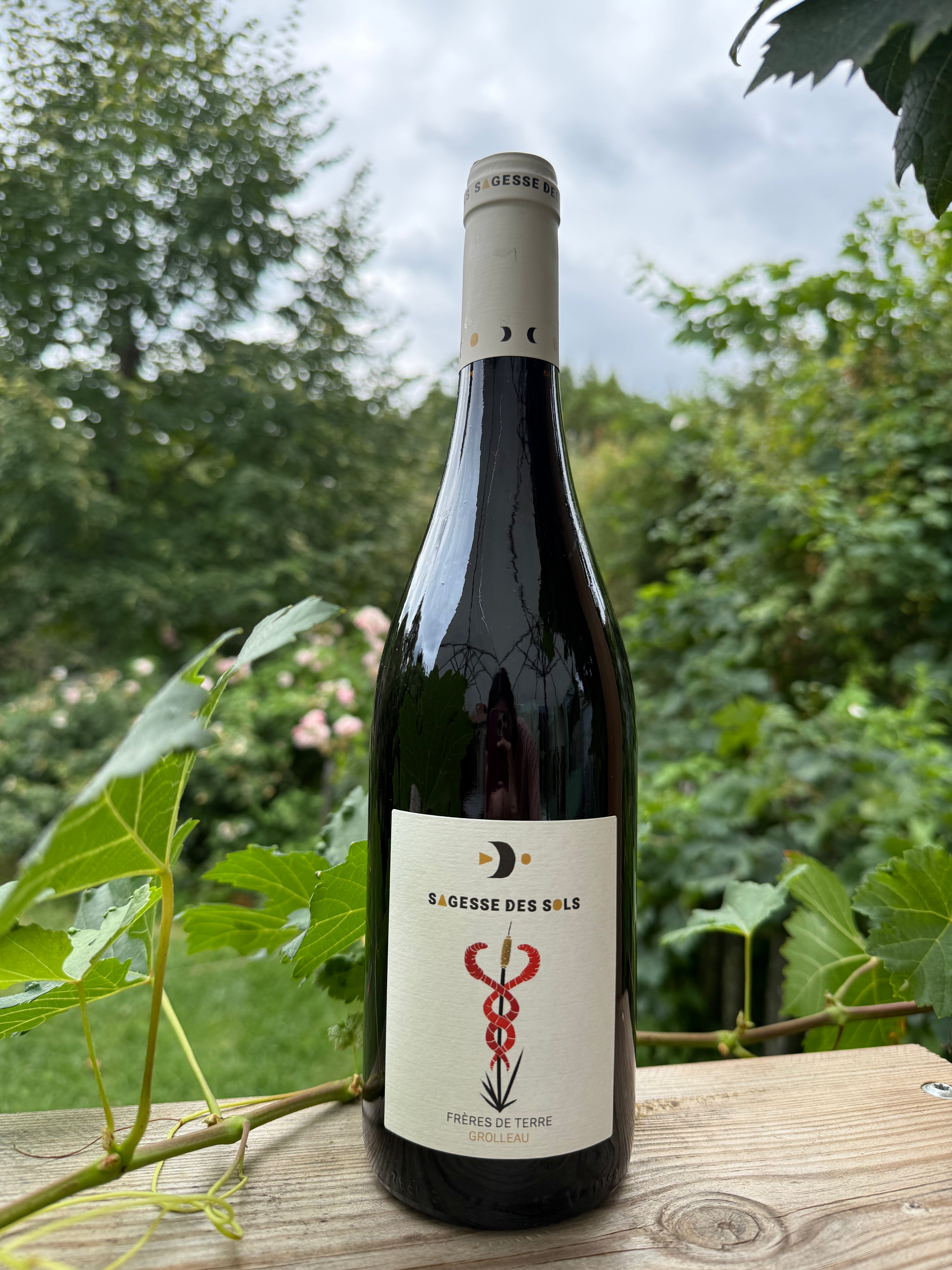 Frères de terre 2025 - Sagesse des sols - IGP Val de Loire - Quvée