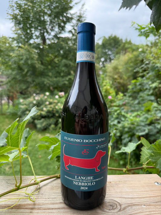 Tom Langhe Nebbiolo 2024 - Eugenio Bocchino - Quvée
