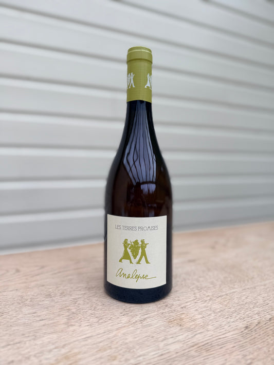 Analepse 2024 - Les Terres Promises