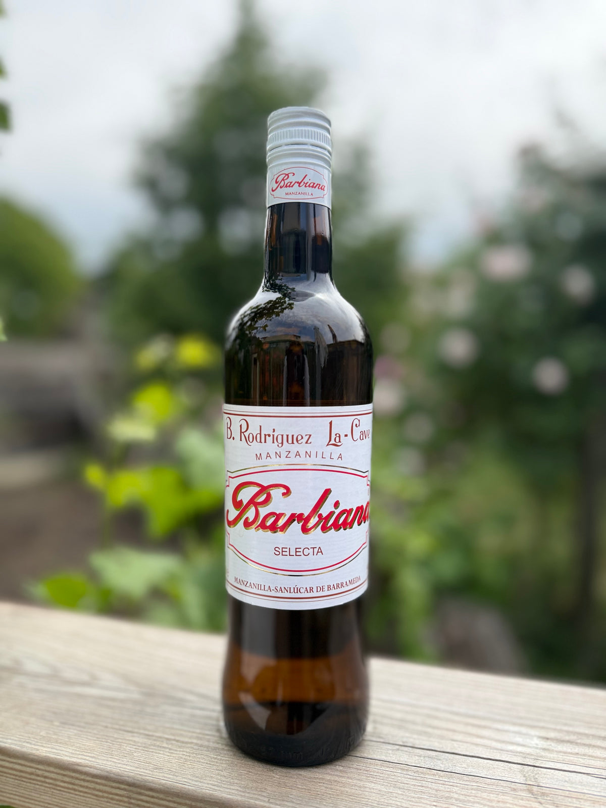 Barbiana Manzanilla - Delgado Zuleta