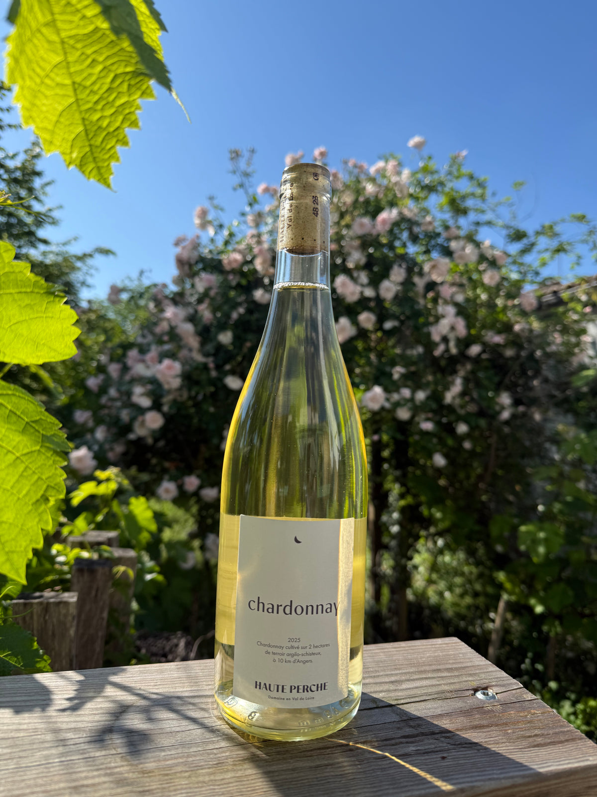 Chardonnay 2025 - Domaine de Haute Perche
