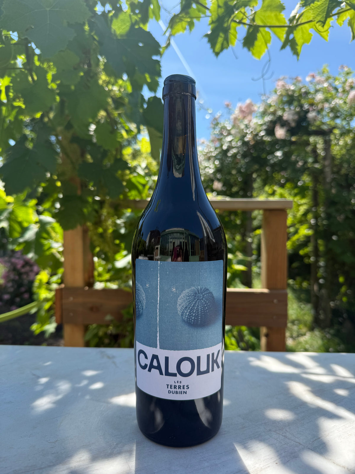 Calouk - Les Terres Dubien