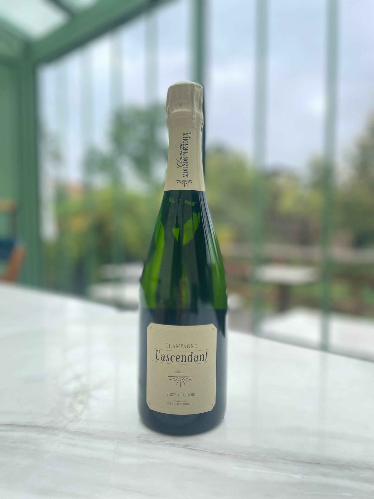Champagne Mouzon Leroux L’Ascendant