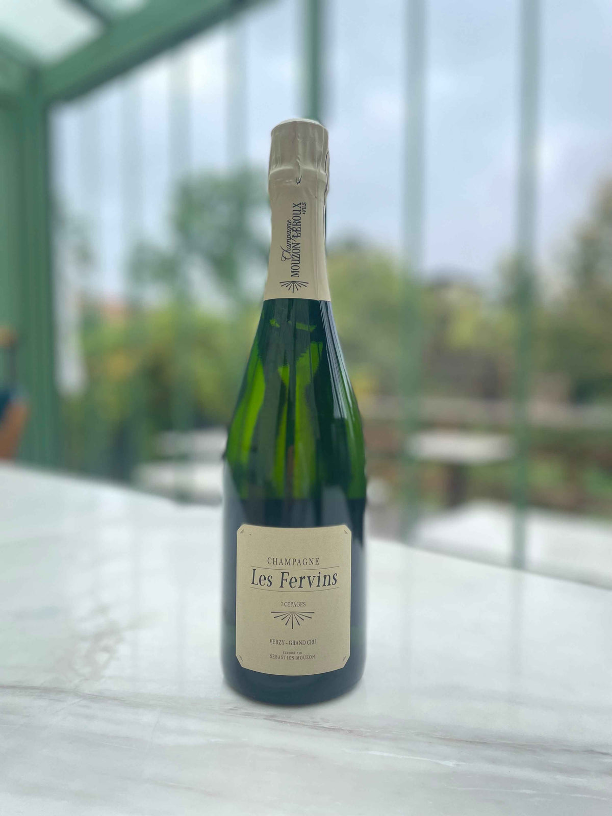 Champagne Mouzon Leroux Les Fervins 2016