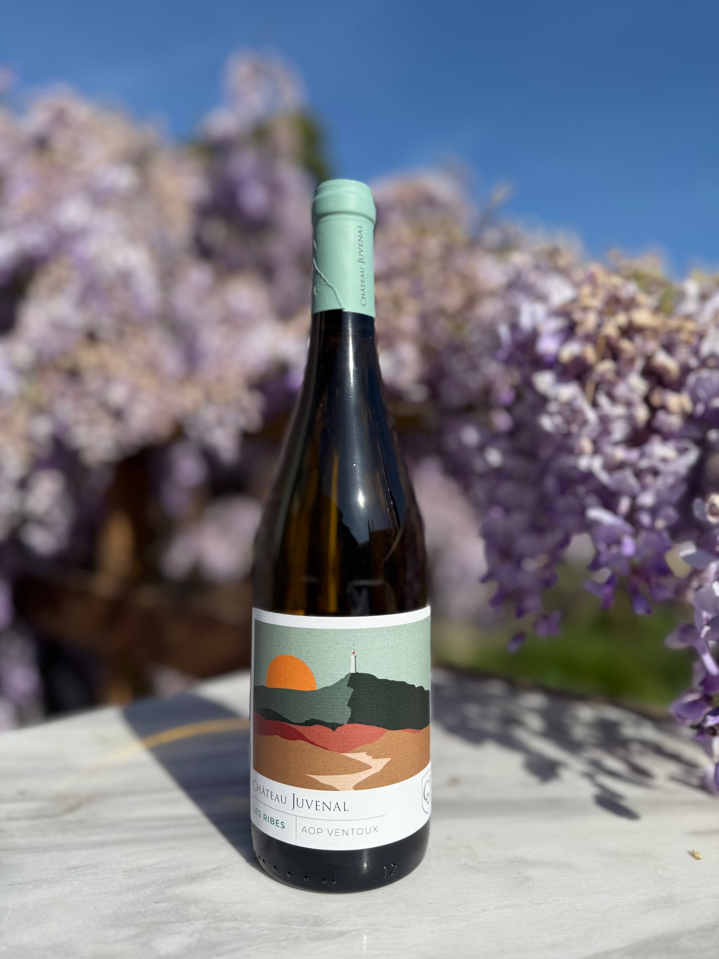 Les Ribes du Vallat 2025 - Château Juvenal