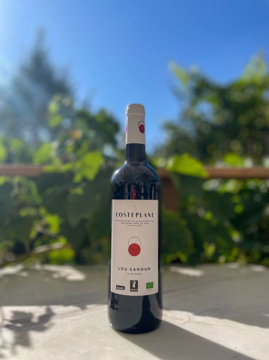 Lou Canoun Mas Costeplane