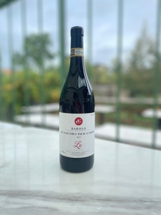 Lu 2013 Eugenio Bocchino