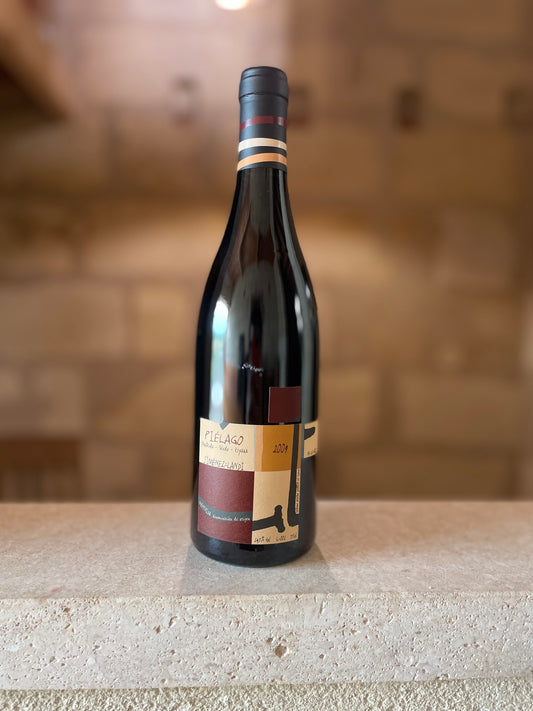 Piélago 2009 Bodgas Jiménez-Landi