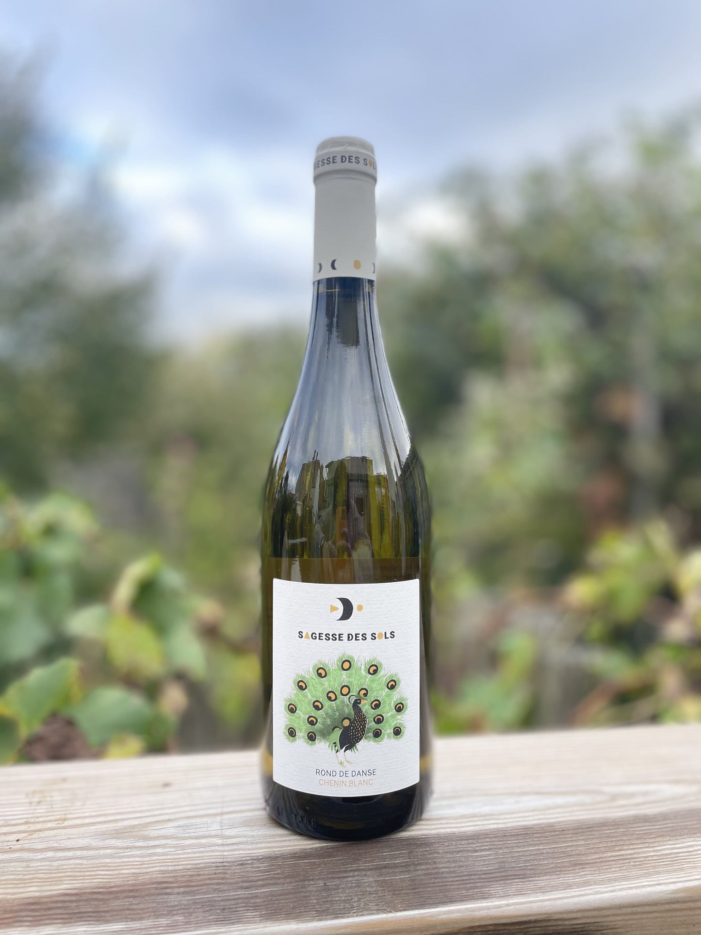 Rond de Danse Sagesse des Sols Anjou Blanc