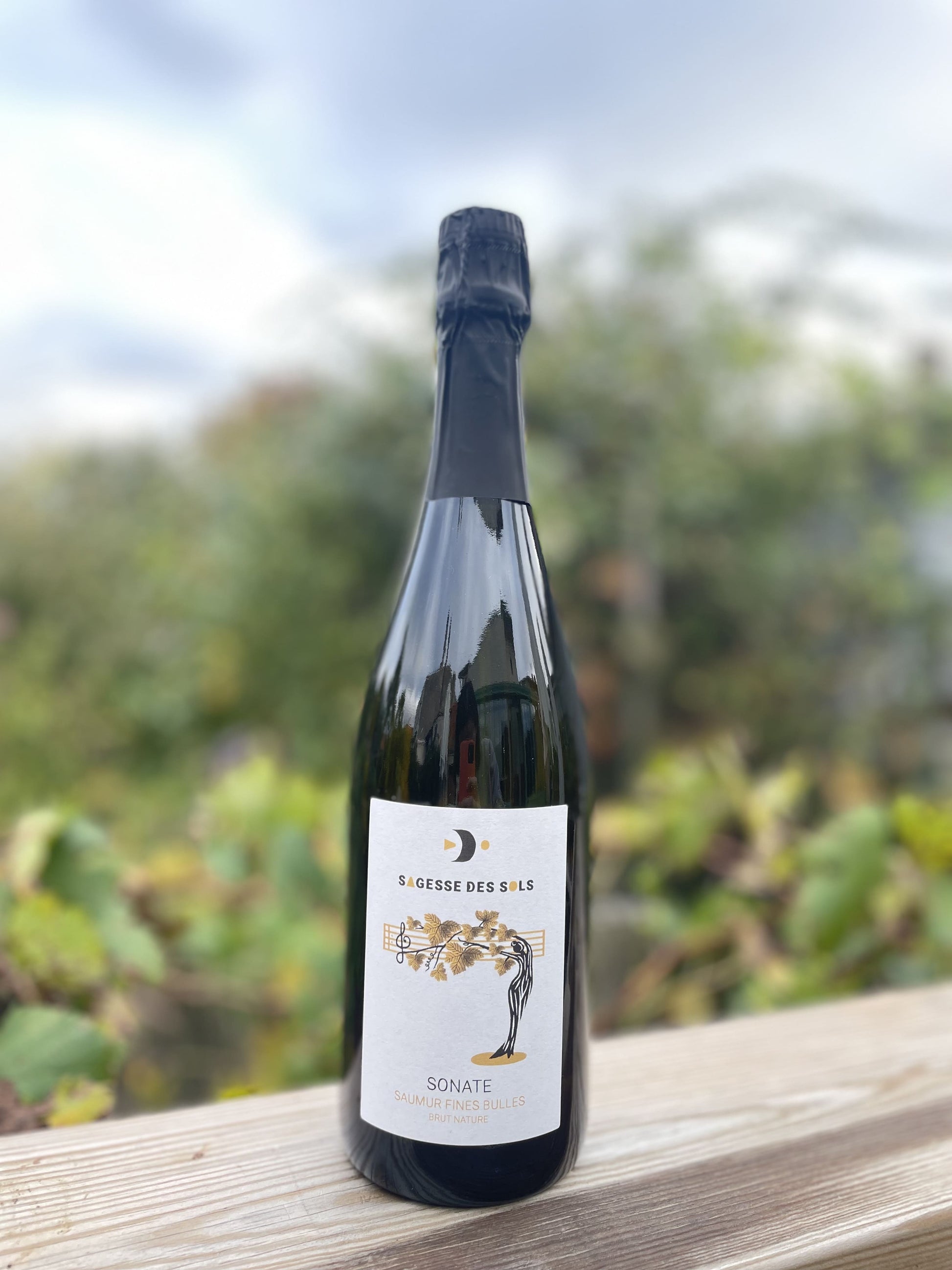Sonate Sagesse des Sols Saumur Fines Bulles