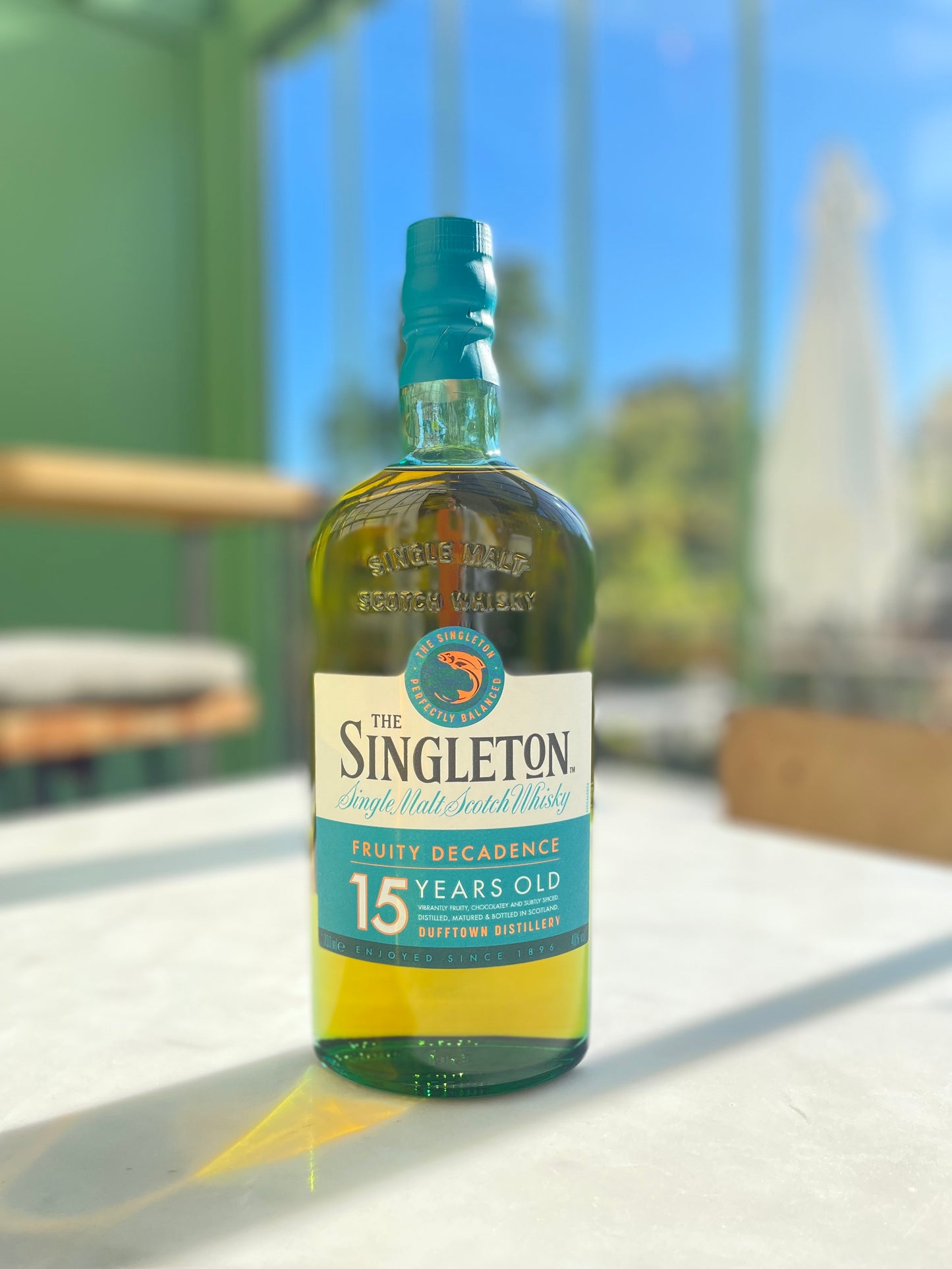 The Singleton 15 ans