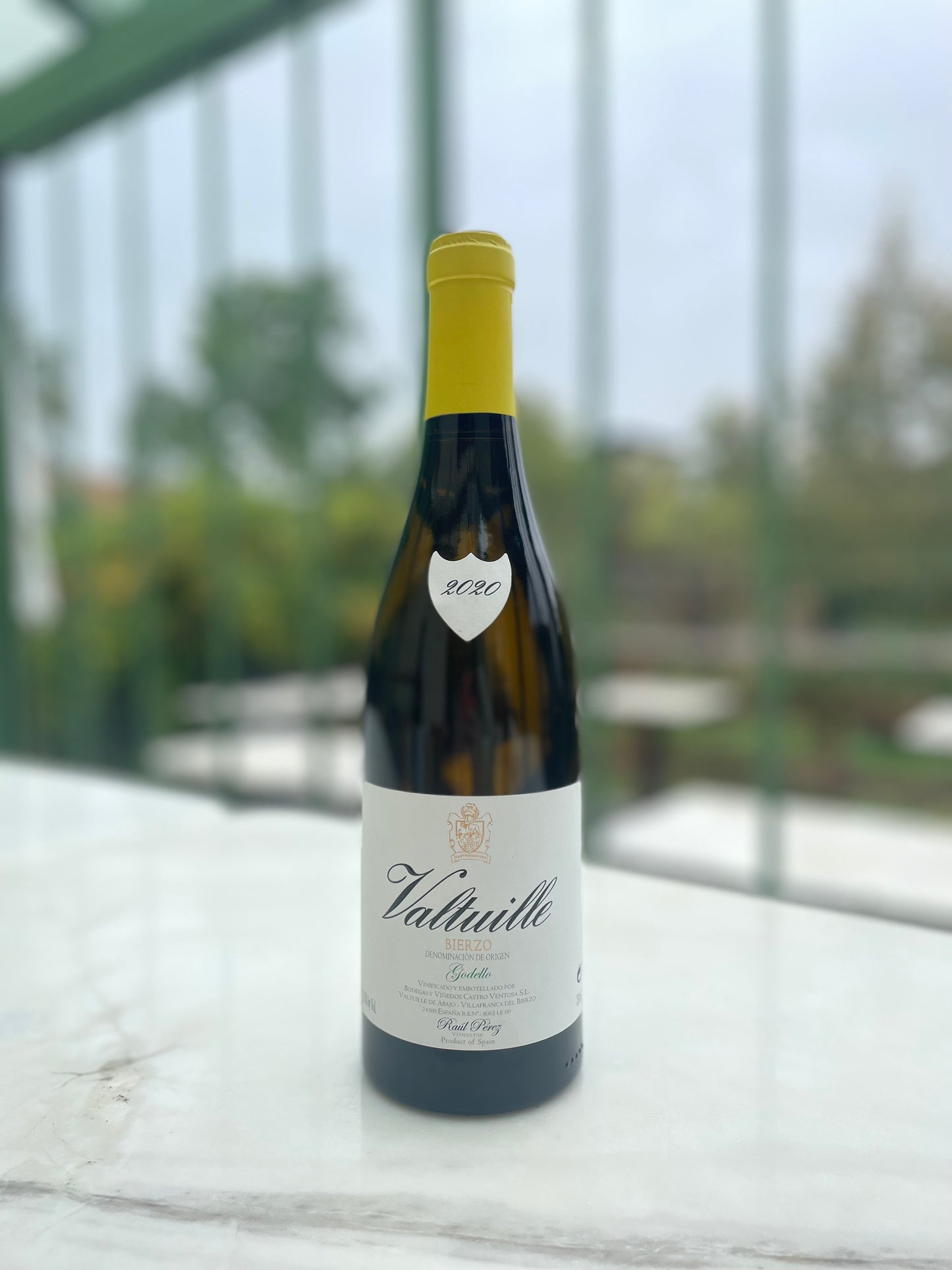 Valtuille Godello 2020 - Raul Perez