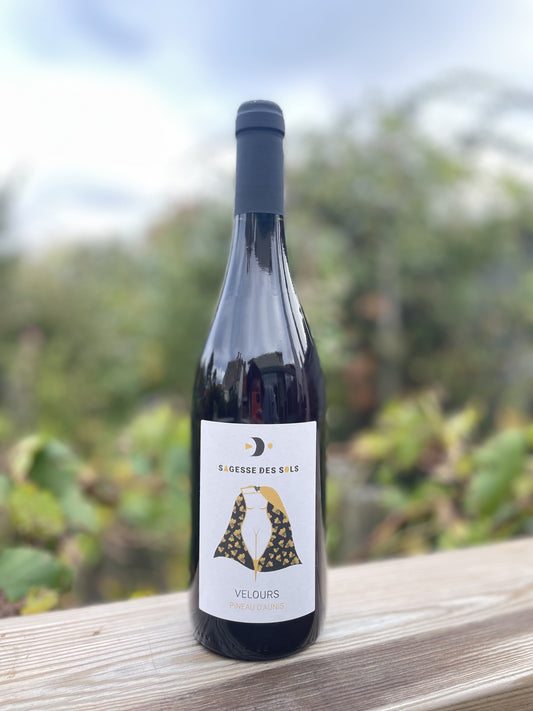 Velours Pineau d'Aunis Sagesse des Sols