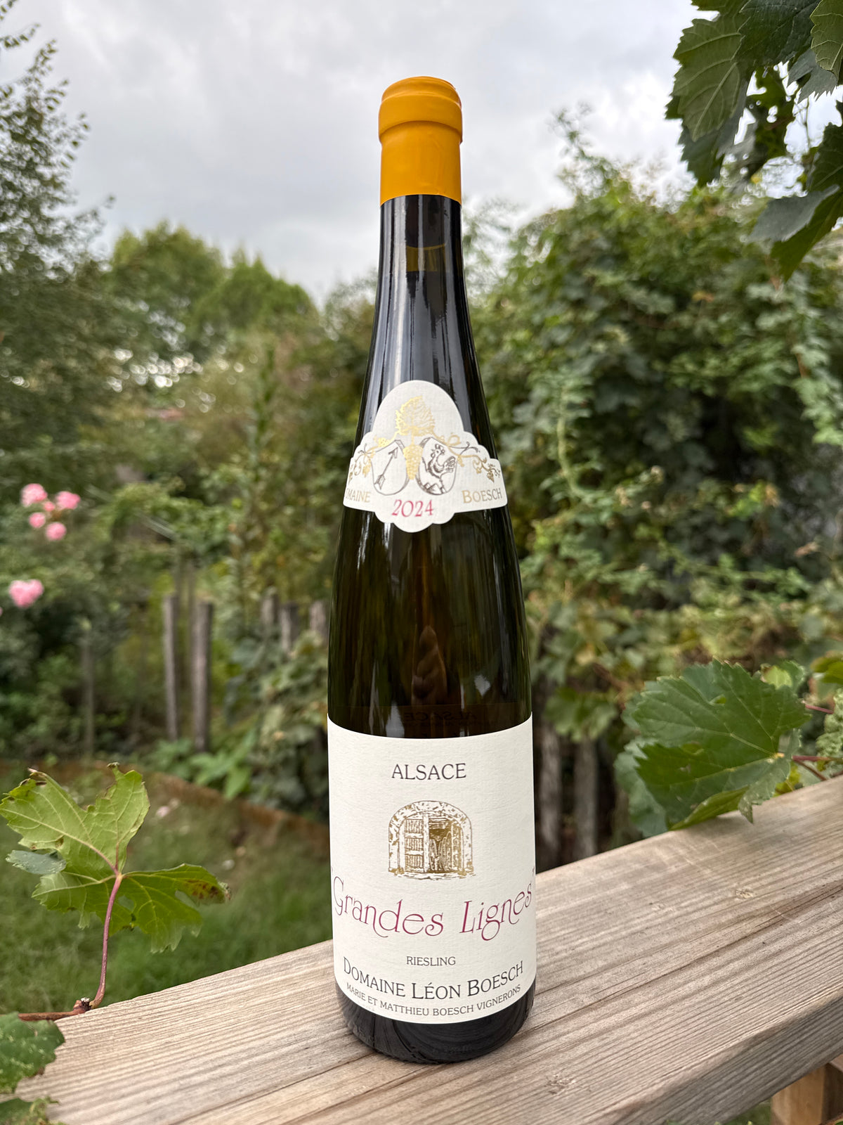 Les Grandes Lignes 2024 - Léon Boesch