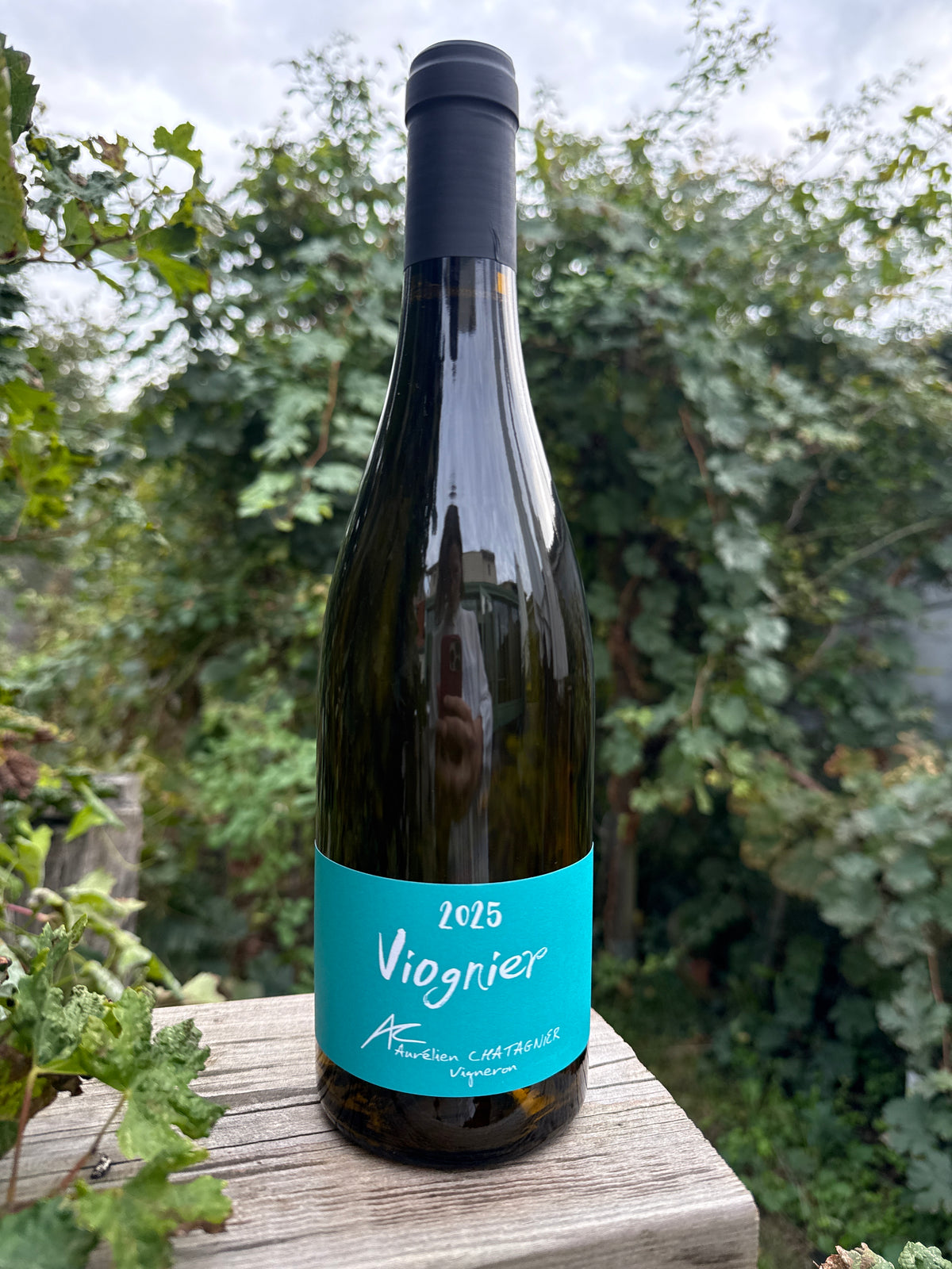 Viognier 2025 - Aurélien Chatagnier