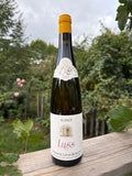 Luss 2023 - Léon Boesch
