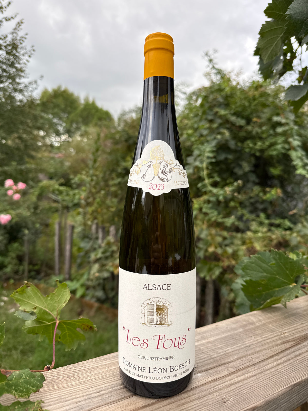 Les Fous 2023 - Léon Boesch
